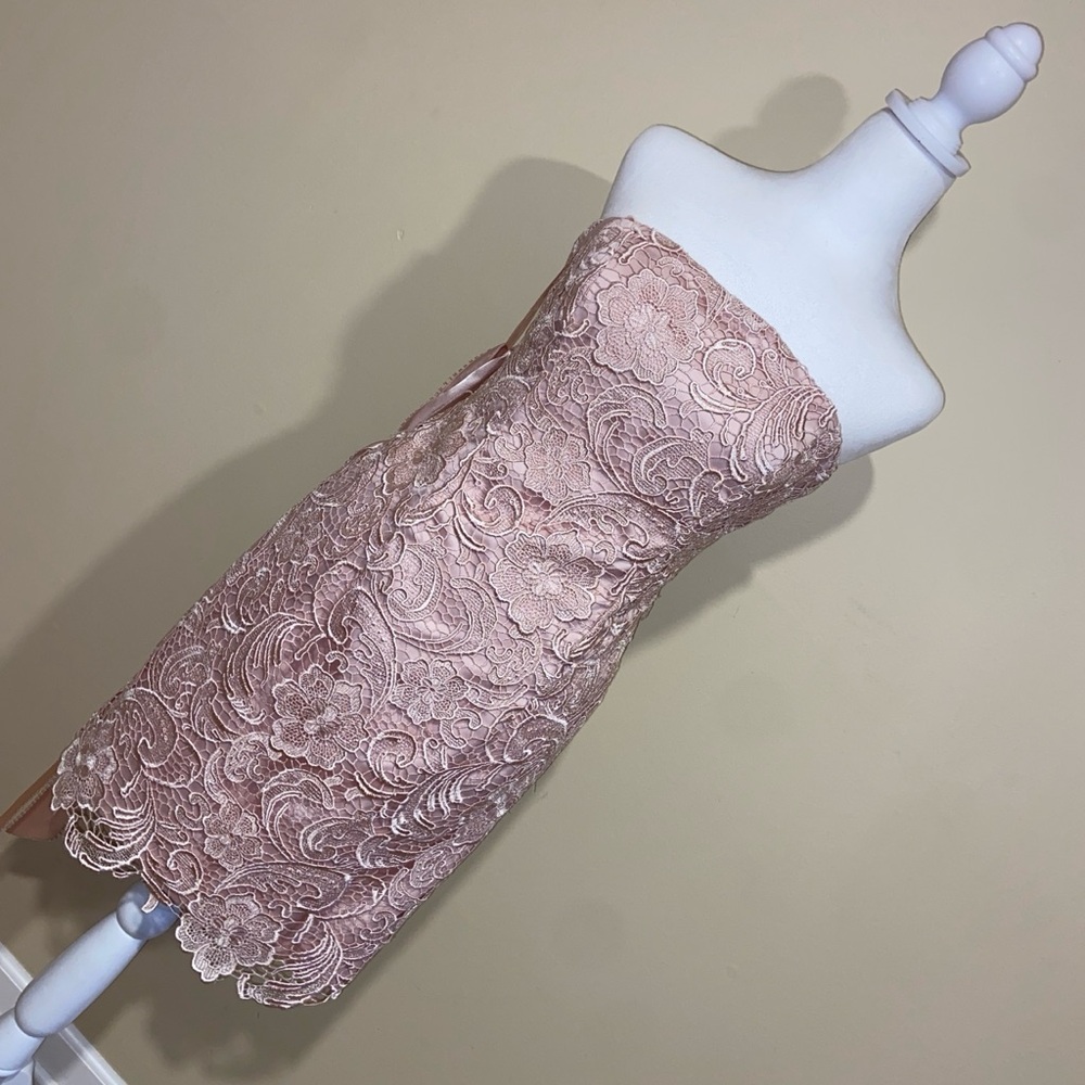 Adrianna Papell Strapless Lace Mini Dress in Blush - Picture 5 of 8